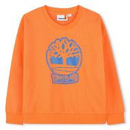 Timberland Boys’ Orange Sweatshirt T60444 Nectarine