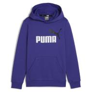 Sweatshirt Elektrisch Blau Jungen Puma 5869870 günstig