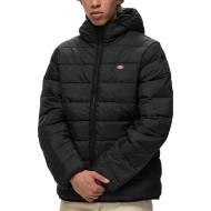 Dickies Waldenburg Black Coat for Men affordable