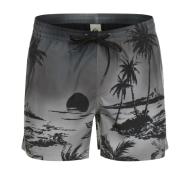 Bañador negro para hombre Quiksilver Paradise 15 Jamv ver 2