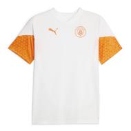Manchester City Puma Men's Training Jersey 2023/24 affordable
