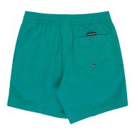 Boy's Green Badeshorts Quiksilver Everyday Ansicht 2