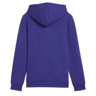 Sweatshirt Elektrisch Blau Jungen Puma 5869870 Ansicht 2