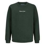 Jack & Jones Norrebro Boys’ Green Sweatshirt