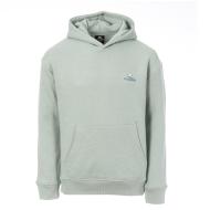 Sudadera con capucha Green Boy's No Publik barato