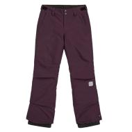 Pantalon de ski Prune Fille O'Neill Star Regular vue 3