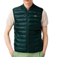 Ärmellose Daunenjacke Dunkelgrün Herren Lacoste Sinople günstig