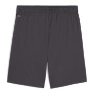 OM Short de Foot Gris Homme Puma Training 2023/24 vue 2