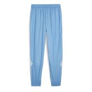 Manchester Trainingshose Blau Prématch Herren Puma 23/24 Ansicht 2