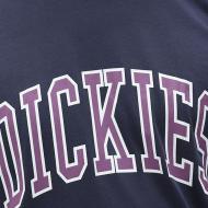 Camiseta Dickies Aitkin Azul Marino, Hombre ver 3