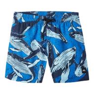 O'Neill Cali Badehose Blau Jungen