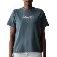 Graues Damen-T-Shirt von Calvin Klein Jeans Classic Script