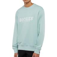 Sudadera Dickies Script Hombre Verde