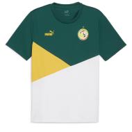 Senegal Grünes Trikot Herren Puma 2024 günstig