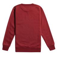 Sudadera Billabong Stamp Bordeaux Niño ver 2