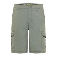 Lee Fort Men's Green Shorts affordable