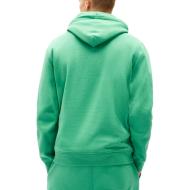 Sweat Vert Homme Tommy Hilfiger Washed DM0DM20746 vue 2