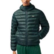 Dunkelgrüne Daunenjacke Mann Lacoste BH0539 günstig