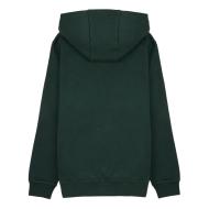 Dunkelgrüner Kapuzenpullover für Jungen von Teddy Smith, Evry1 Ansicht 2