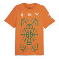Camiseta Naranja Hombre Puma Afcon barato