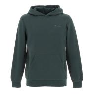 Sweatshirt Grün Jungen Teddy Smith S-nark Hoody Jr