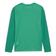 Camiseta Puma Teamgoal Green, Hombre ver 2