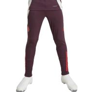 Bayern Munich Junior Training Pants Bordeaux Adidas Tiro 24 affordable