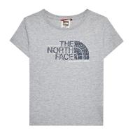 T-shirt Gris Garçon The North Face Graphic 1 pas cher