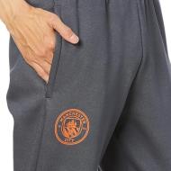 Manchester City Fußball-Jogginganzug Grau Mann Puma 2023/24 Ansicht 3