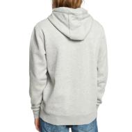 Sudadera gris para hombre Quiksilver Biglogohood ver 2