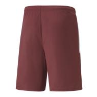 Puma Men's Teamliga Short Red Photo of the Espace des Marques %store% store - view of %key%
