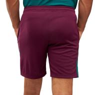 PSG Short Training Burdeos Homme Nike 24/25 ver 2