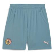 Manchester City Short Bleu/Vert Homme Puma 2024/25