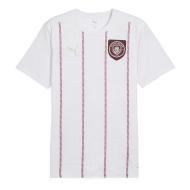 Manchester City Vorspieltrikot Weiß Herren Puma 24/25 günstig