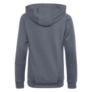 Adidas Tiro23 Herren Kapuzensweatshirt Dunkelgrau Ansicht 2