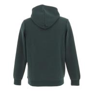 Sweatshirt Grün Jungen Teddy Smith S-nark Hoody Jr Ansicht 2