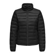 Only Molly Women's Black Coat