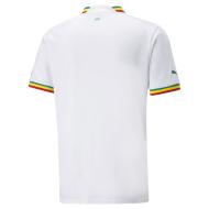 Senegal Puma Men's Home Replica Jersey 22/23 Photo of the Espace des Marques %store% store - view of %key%