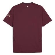Manchester City Maillot Réplica Third Bordeaux Homme Puma 2024/2025 vue 2