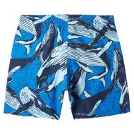 O'Neill Cali Blue Boy's Swimsuit Photo of the Espace des Marques %store% store - view of %key%