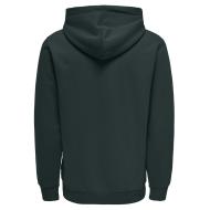 Grünes Herren-Kapuzensweatshirt von Only & Sons Ceres Ansicht 2