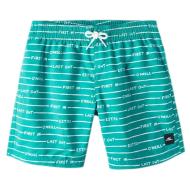 O'Neill Boy's All Year 14 Green Badeshorts günstig