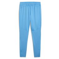 Manchester City Trainingshose Türkis Herren Puma 777555 Ansicht 2