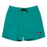 Boy's Green Badeshorts Quiksilver Everyday günstig