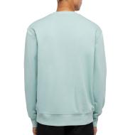 Sudadera Dickies Script Hombre Verde ver 2