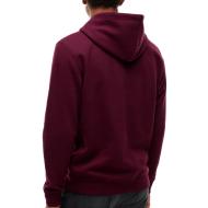 Herren-Sweatshirt in Bordeaux von Tommy Hilfiger, gewaschen, DM0DM20746 Ansicht 2
