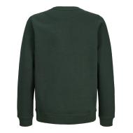 Jack & Jones Norrebro Boys’ Green Sweatshirt Photo of the Espace des Marques %store% store - view of %key%