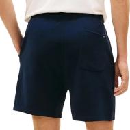 Short Marine Homme Tommy Hilfiger Tjm Signature vue 2