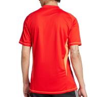 Juventus Maillot de Gardien Rouge Homme Adidas 24/25 vue 2