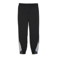 Dortmund Fußball Jogginghose Schwarz Mann Puma Bvb 2023/2024 Ansicht 2